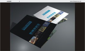 銳意進取，箭指未來 上海浦東與太倉地區品牌視覺與軟件開發服務縱覽